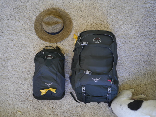 backpacker packing list