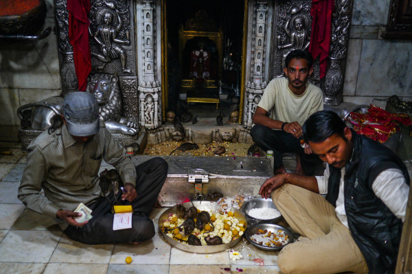 Karnimata Temple Bikaner India